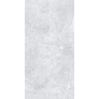 Porcelanato 60x120 Apriko Silver - imagen principal