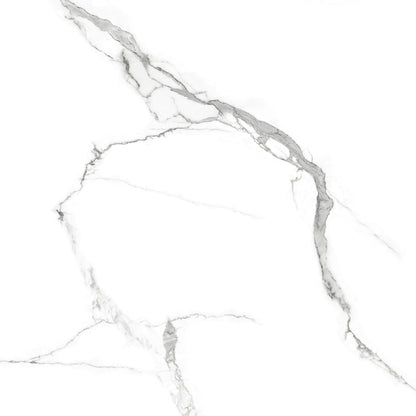 Porcelanato 60x60 Statuario Rich Silver - imagen principal