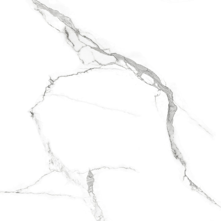 Porcelanato 60x60 Statuario Rich Silver - imagen principal