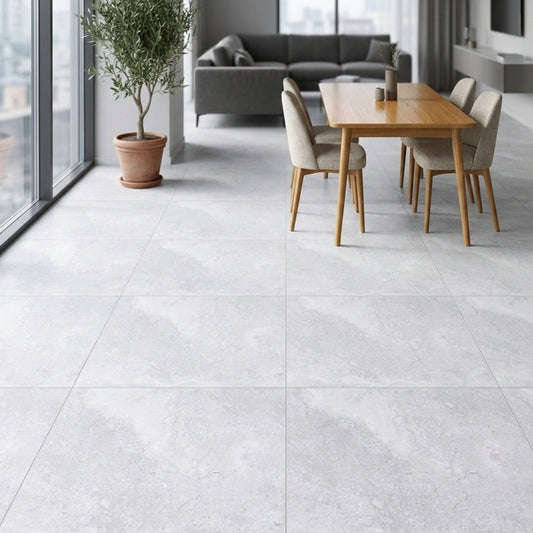 Porcelanato 60x60 Apriko Silver