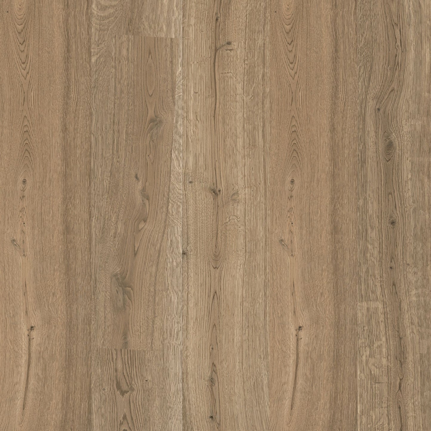 Porcelanato Baywood Honey 23x120